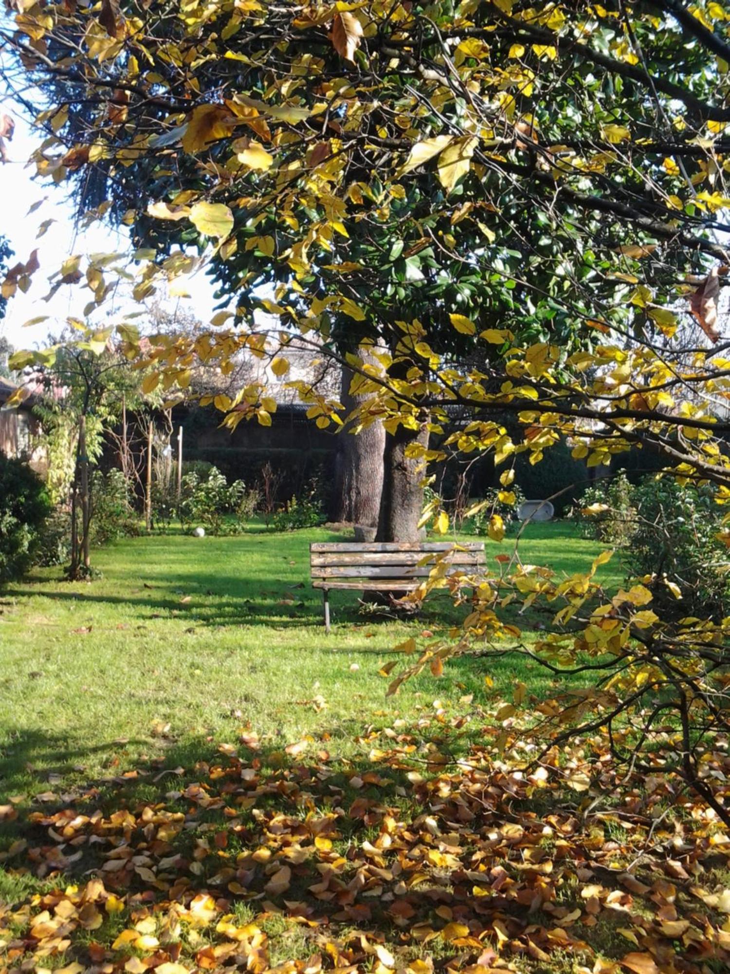 Bed and Breakfast Il Pettirosso Certosa di Pavia Esterno foto