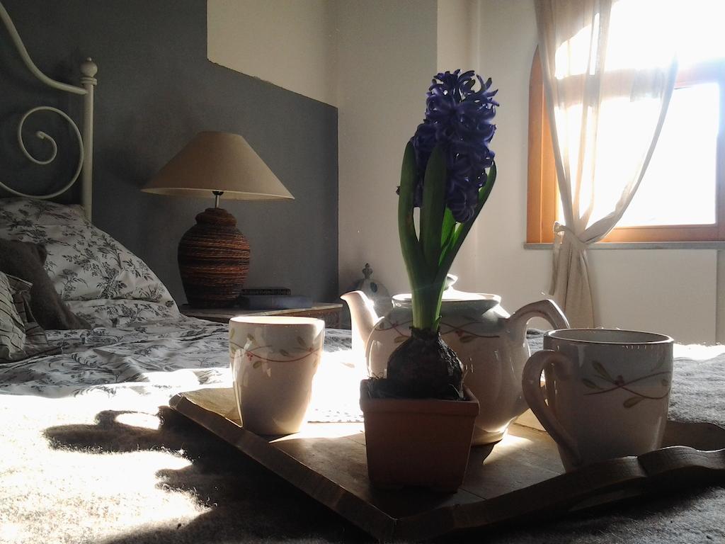 Bed and Breakfast Il Pettirosso Certosa di Pavia Camera foto