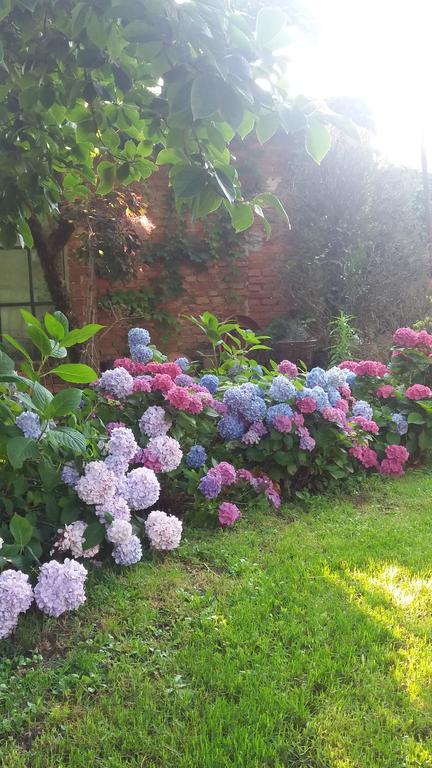 Bed and Breakfast Il Pettirosso Certosa di Pavia Esterno foto