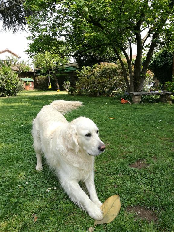 Bed and Breakfast Il Pettirosso Certosa di Pavia Esterno foto